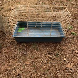 Small Cage 