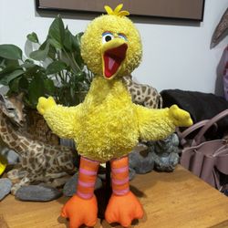 Big Bird 
