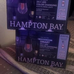 Hampton Bay Smart Led Lights