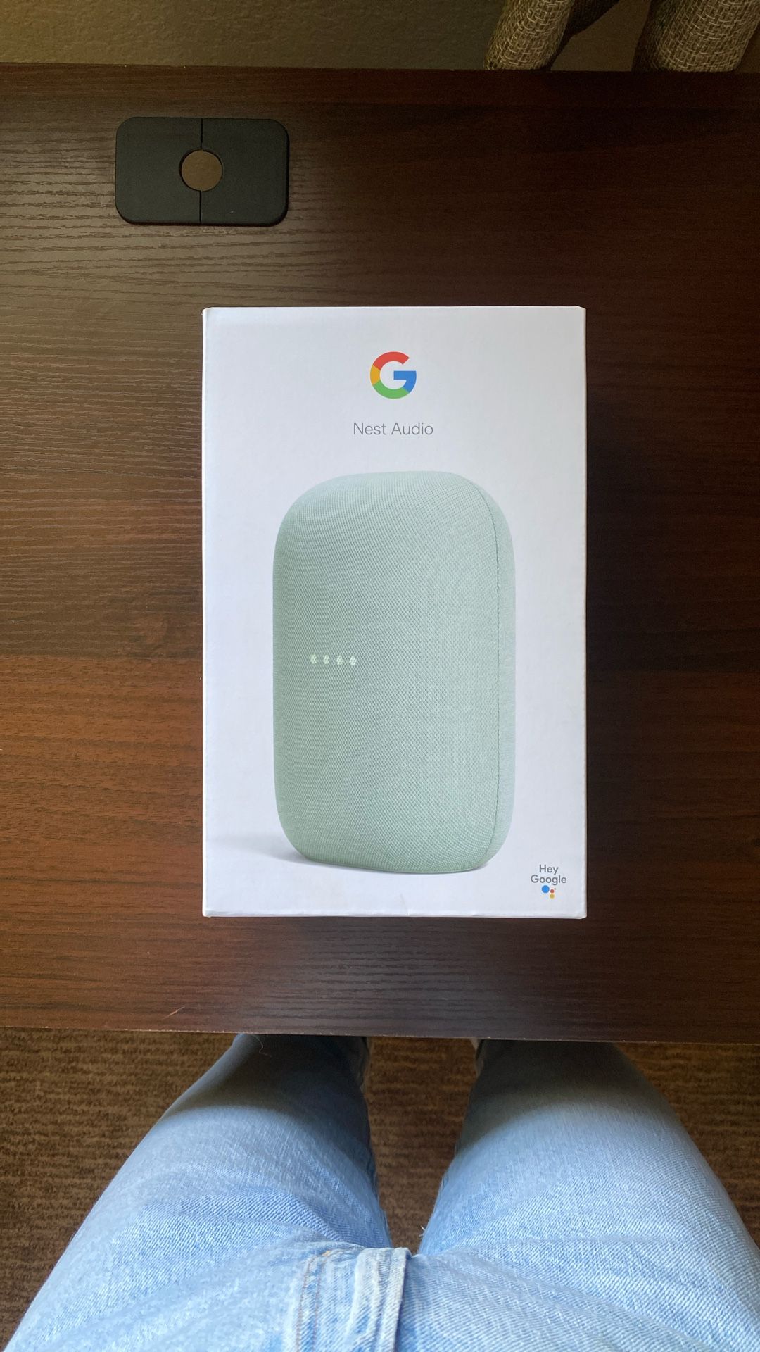 Google Nest Audio (Sage Green)