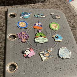 Disney Pins 