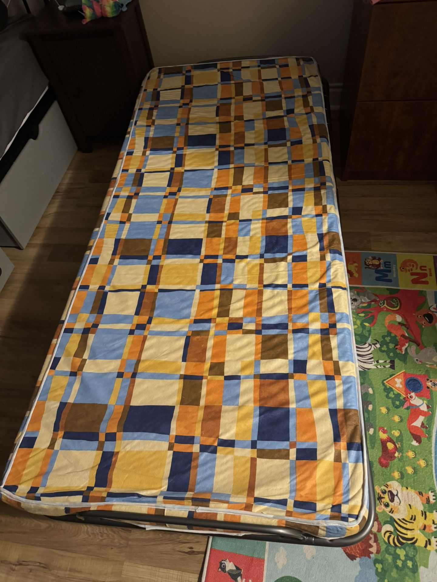 Twin Rollaway Bed And Extra Cushion