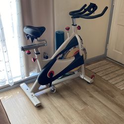 Sunny Health & Fitness Premium Indoor Cycling Exercise Bike