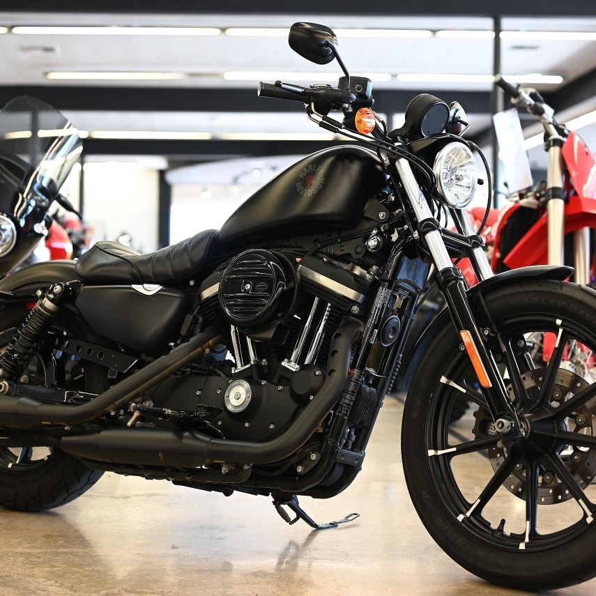 2019 HARLEY DAVIDSON 883 IRON