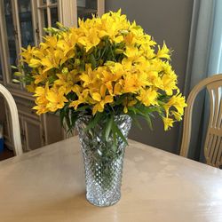 Yellow Alstroemeria / Peruvian Lily