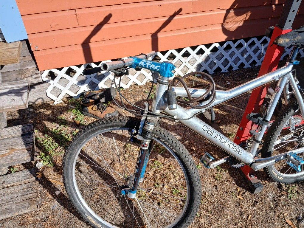 90s STYLE CANNONDALE MOUNTAIN AIKE V800