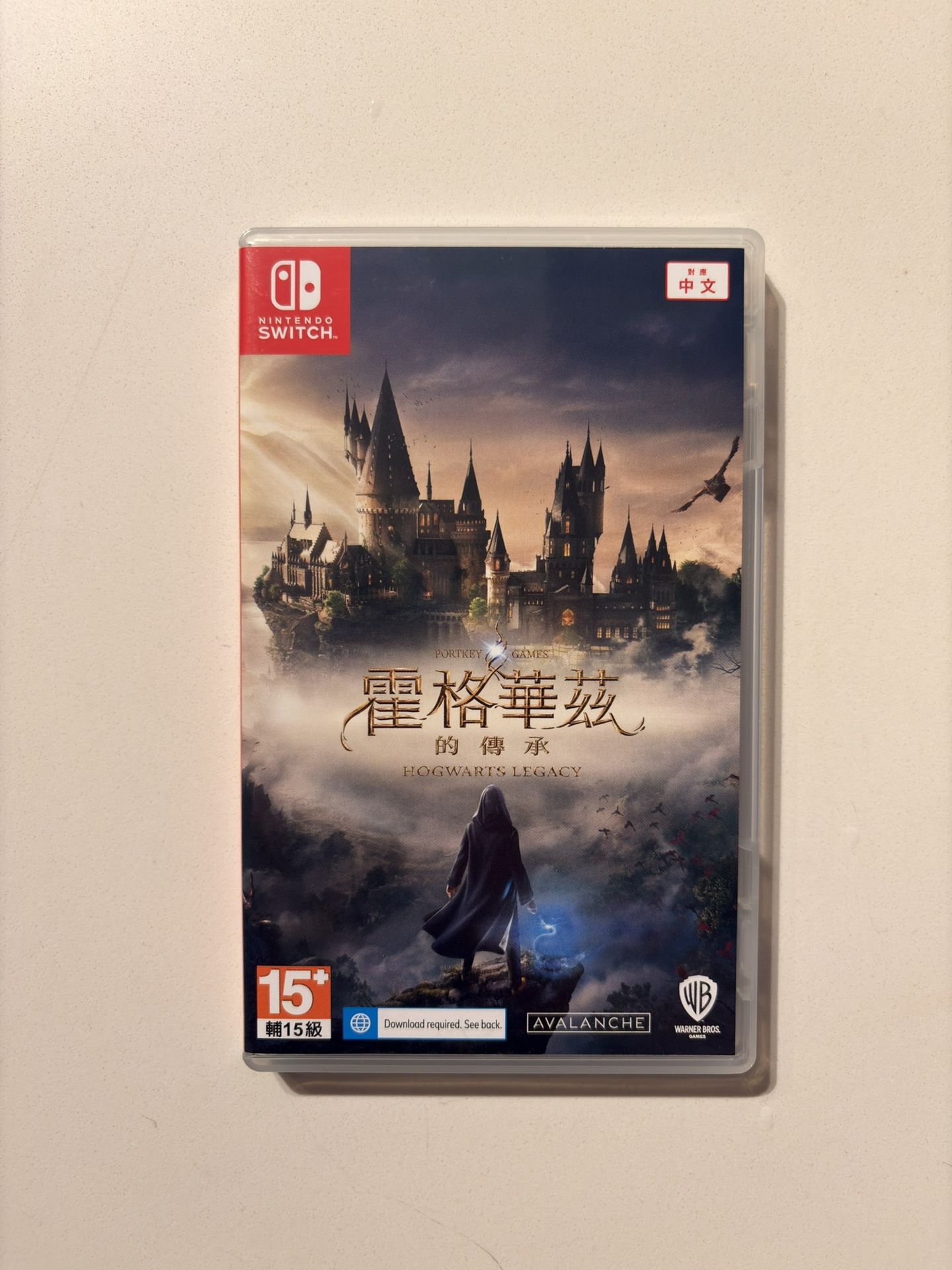 Hogwarts Legacy Nintendo Switch