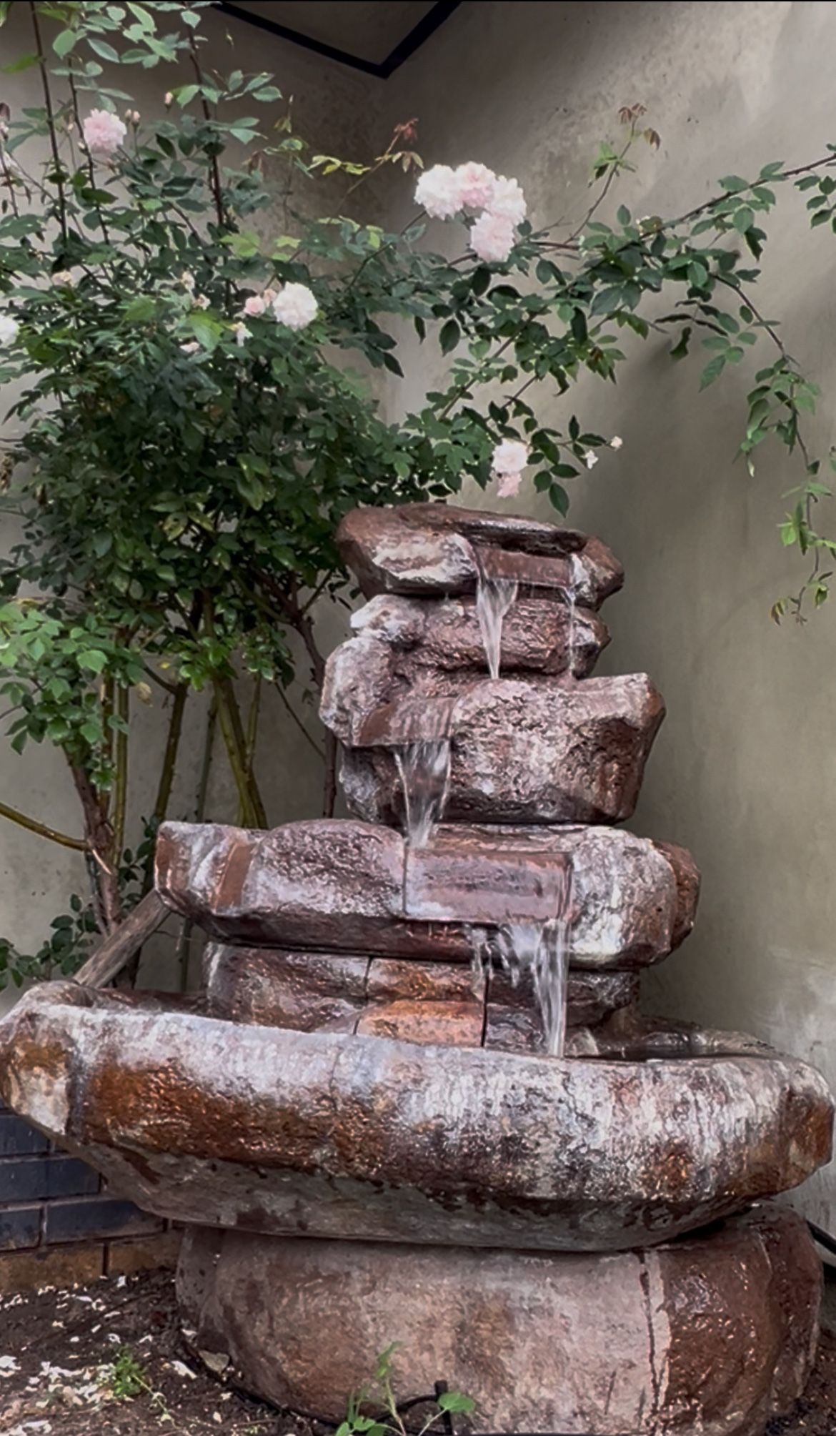 Free Fountain