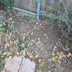  Silver Steel Tomato Cage/ Plants Wire $2 each