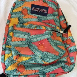 Jansport Backpack 