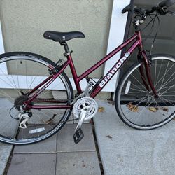 Bianchi Torino Hybrid Bike 