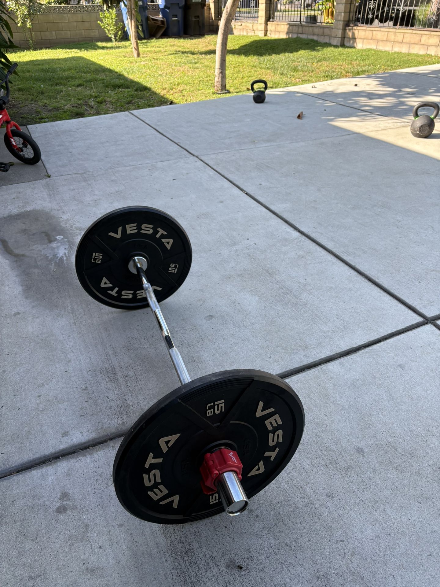 Curl Bar With 30 Pound Plates