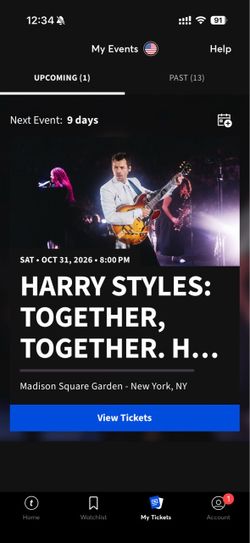 Harryween Harry Style Concert MSG October 31 NYC