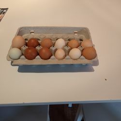 Fresh Eggs