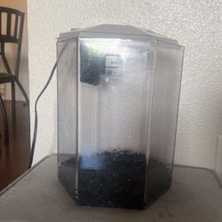 Fish Tank With Filter