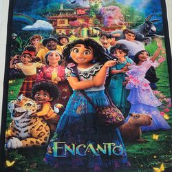 Encanto Movie Poster Fabric ( leatherette with plush? )  27"x30"