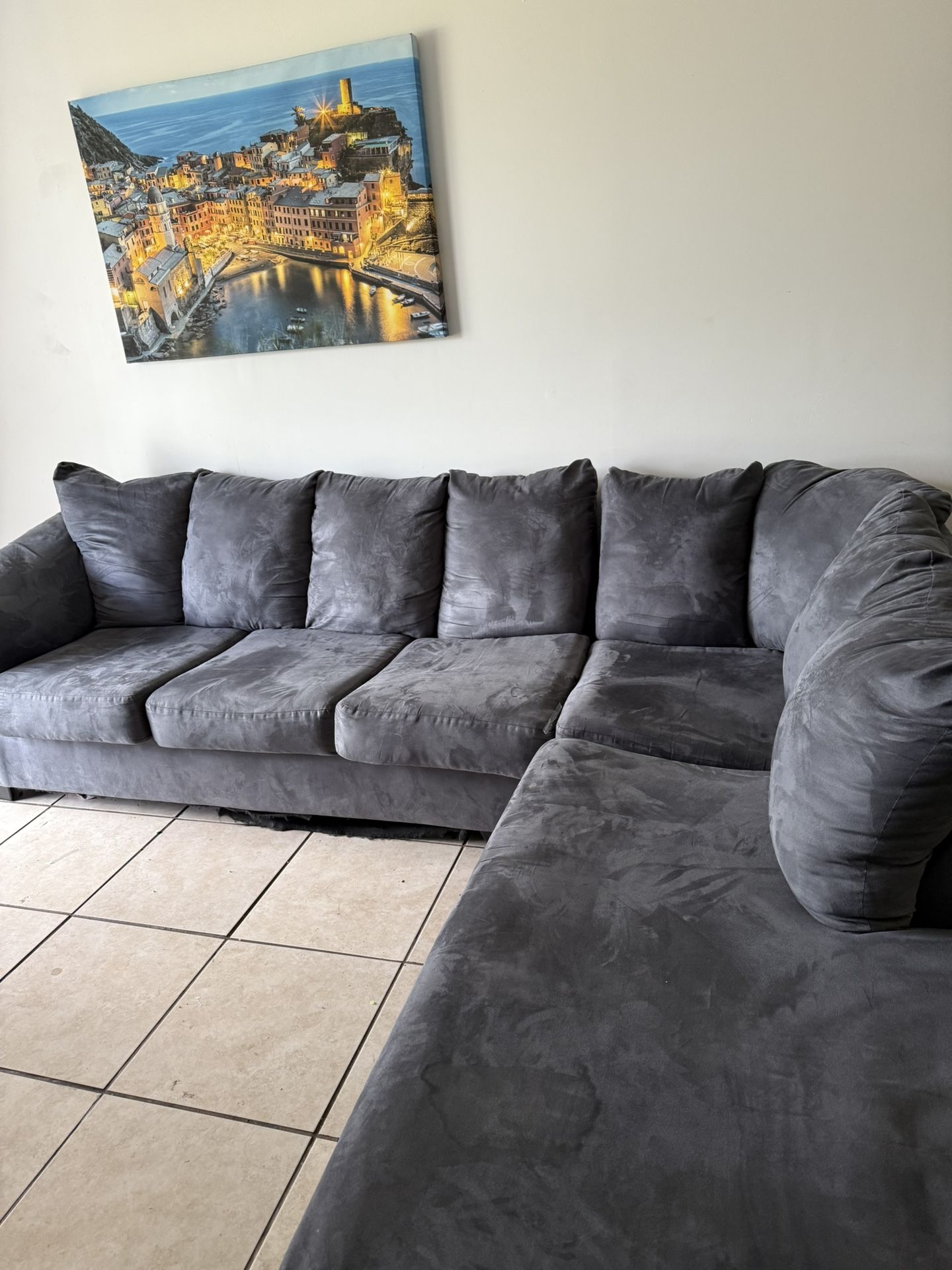 Suede Couch