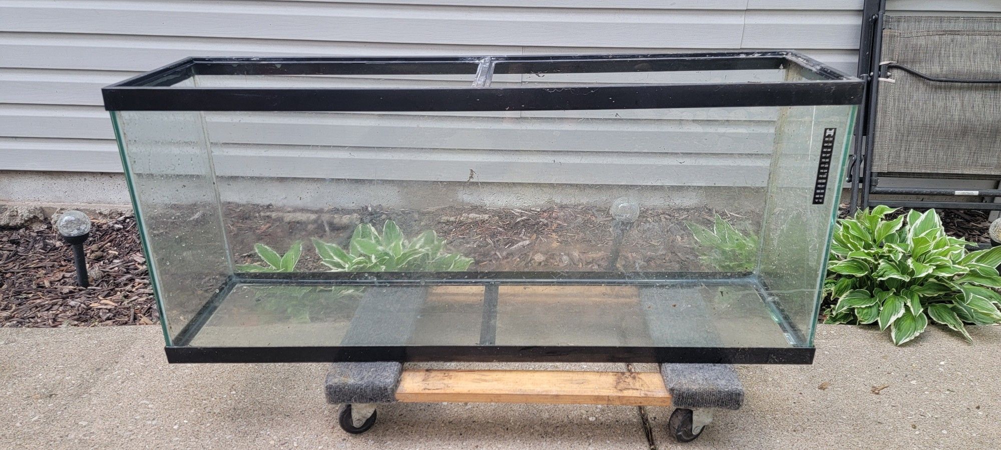 55 Gallon Aquarium
