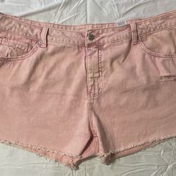 Women’s shorts size 20