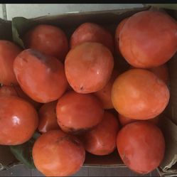 Persimmon Organic Home Grown Fresh Picked 20 For $20