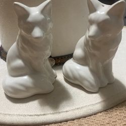 Salt And Pepper Shaker