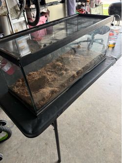 20 gallon reptile tank