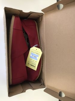 Toms shoes for men size 11.5