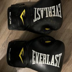 Everlast Boxing Gloves 