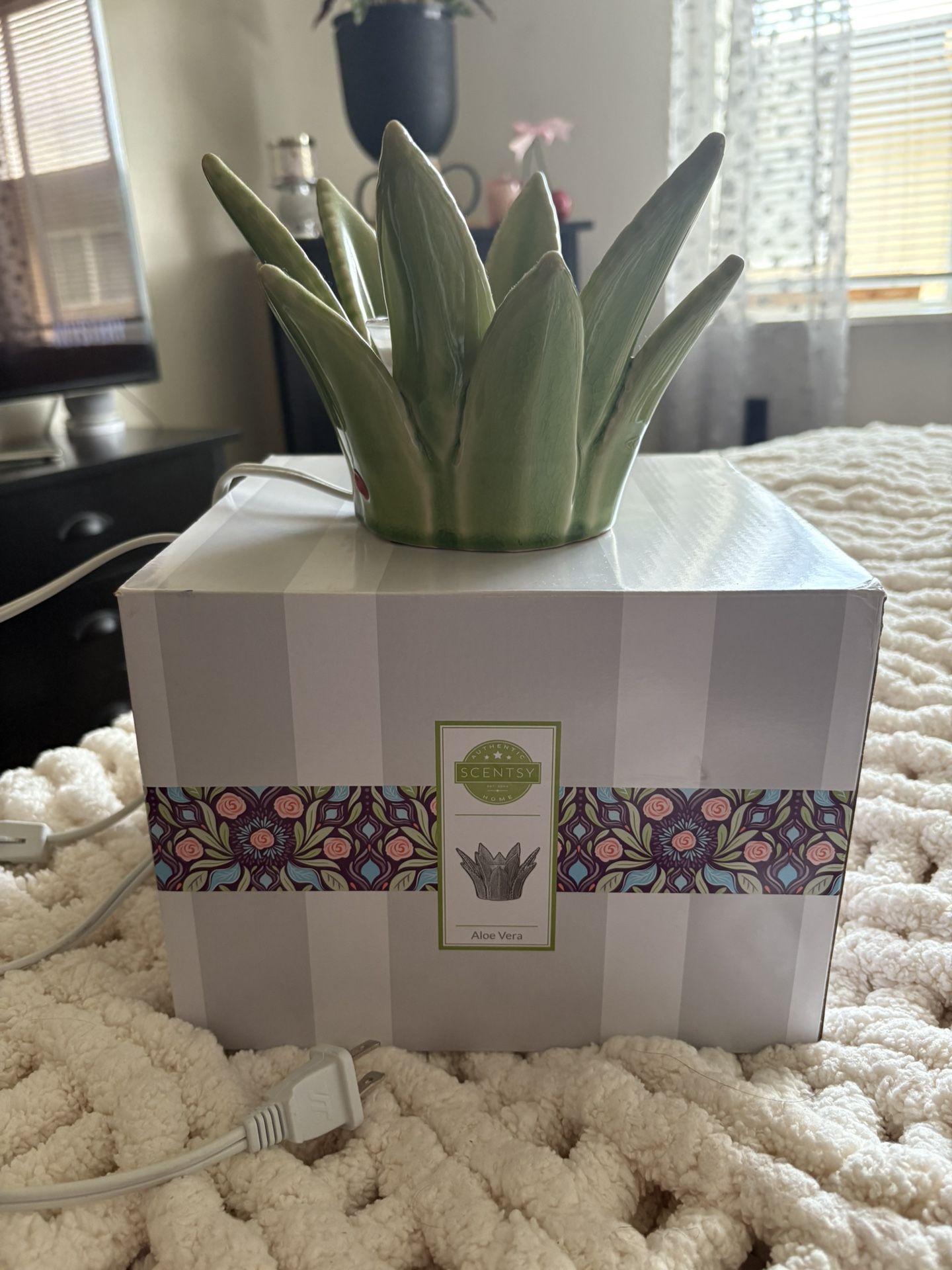 Scentsy wax warmer