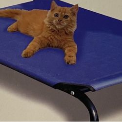 Pet Cot With Canopy - Provides Shade For Your Pet Outdoors!