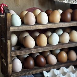 Rare Breed Hatching Eggs