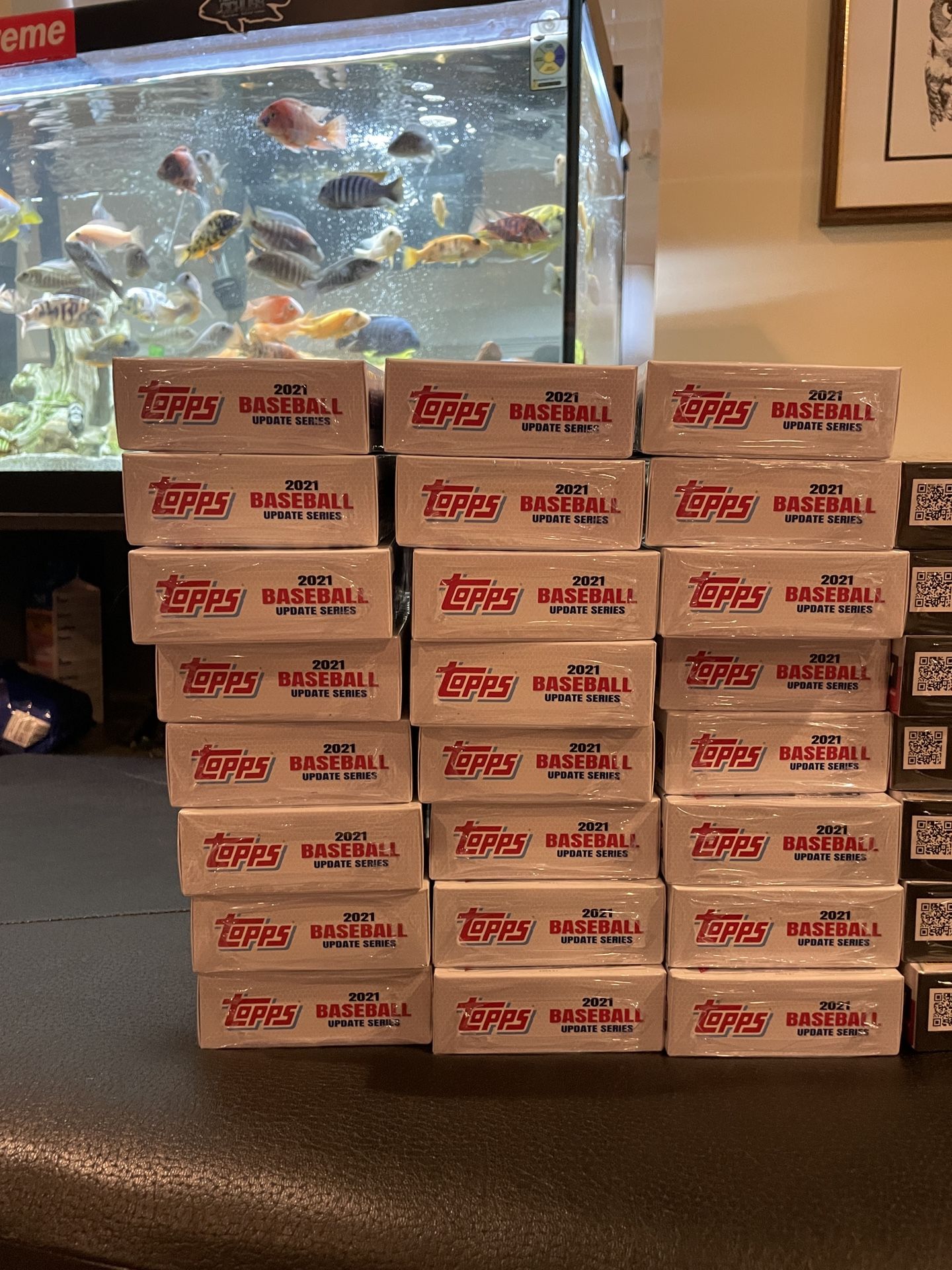 Topps 2021 Updated Hanger