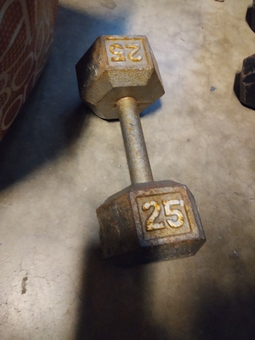 25lb iron dumbbell 