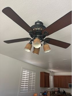 Fan