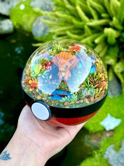Vulpix Pokemon Pokeball Anime Manga Terrarium 