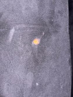 Black family sectional couch