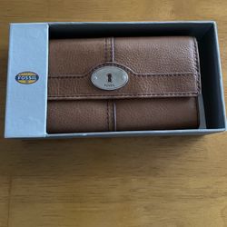 NEW FOSSIL CLUTCH 