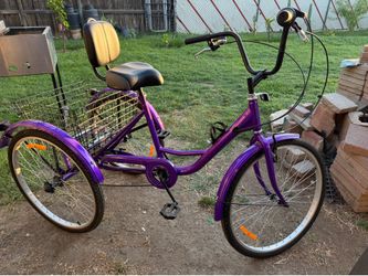 Adult Tricycle