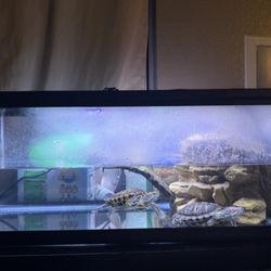 Turtle Tank 