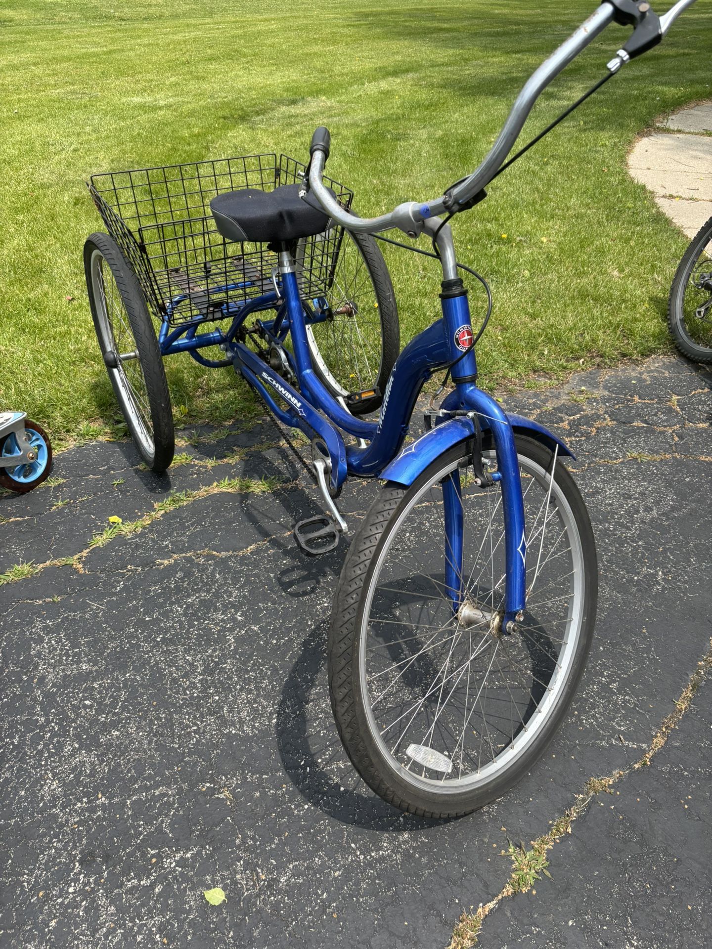 Adult Trike 