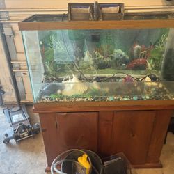 50 gallon tank with the stand and all the supplies to start a fish tank good condition