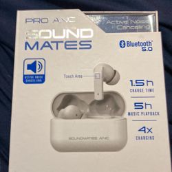Wireless Earbuds 