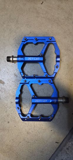 Blue Bike pedals
