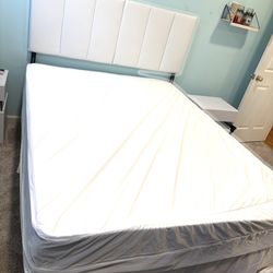 Queen Mattress –Good Condition – Priced to Sell