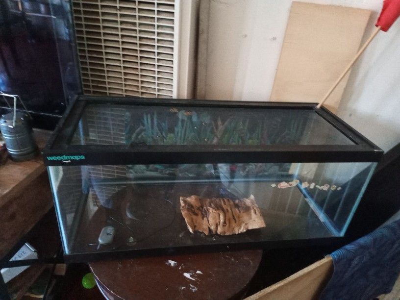 Fish Tank