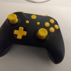 Xbox Controller Customize 