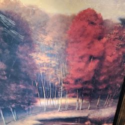 Woods portrait picture  photo with frame