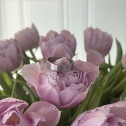Cartier Live Ring , Platinum , size 62(10)