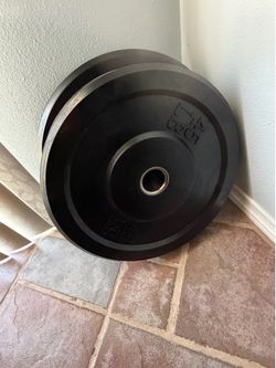 45lb Rubber Plates Pair