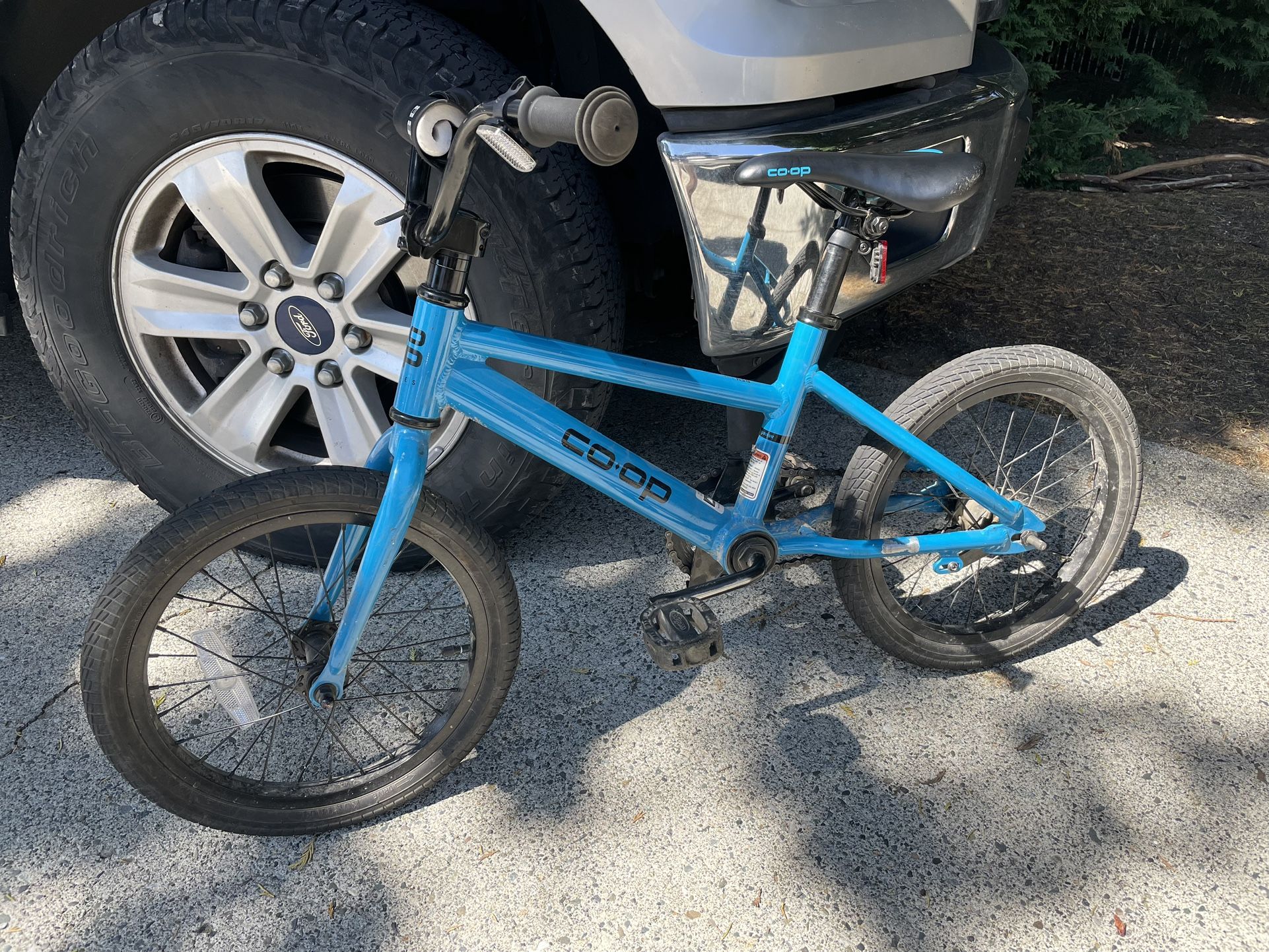 Rev Kids REI Bike 16”